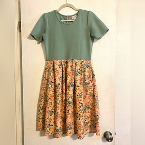 Rosemint Tea dress • Pink and Mint green floral midi • LulaRoe Amelia